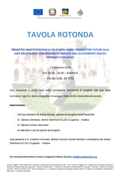 Tavola Rotonda
